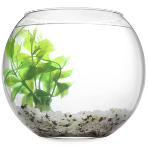 fishbowl