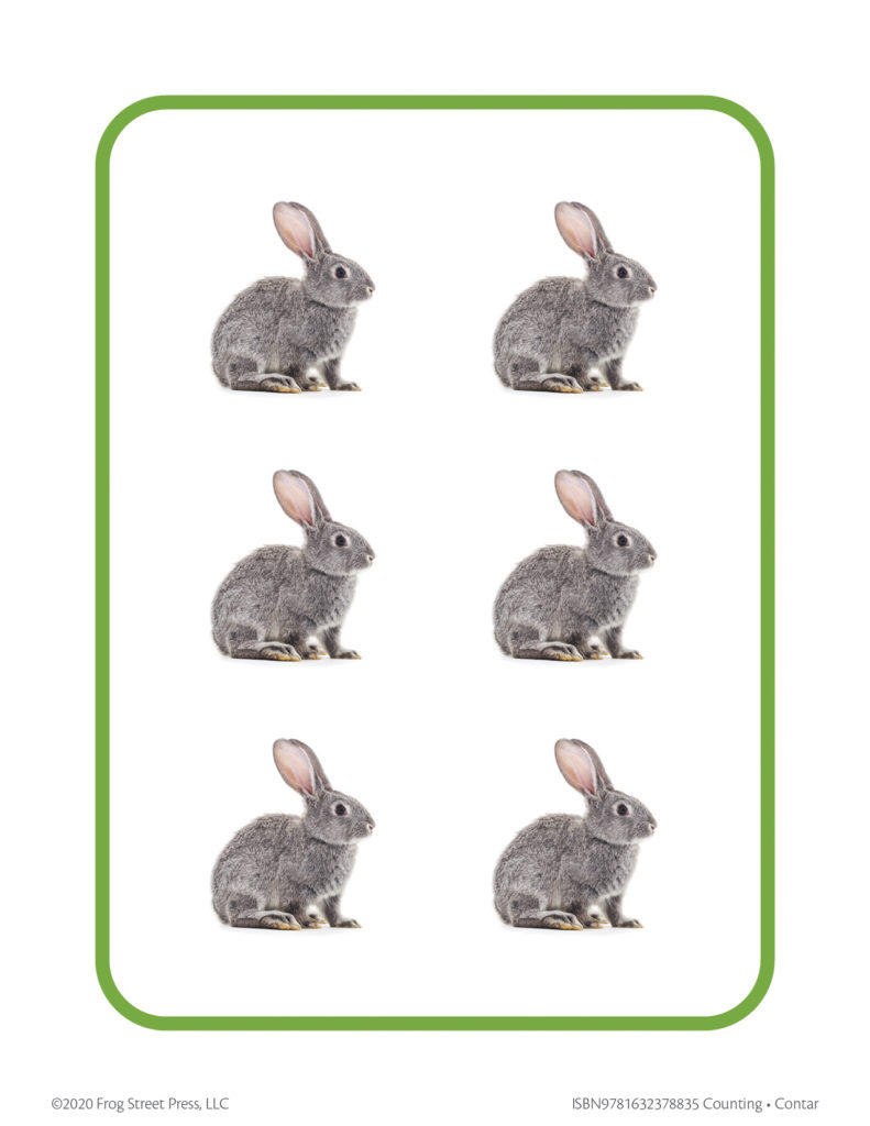 six rabbits