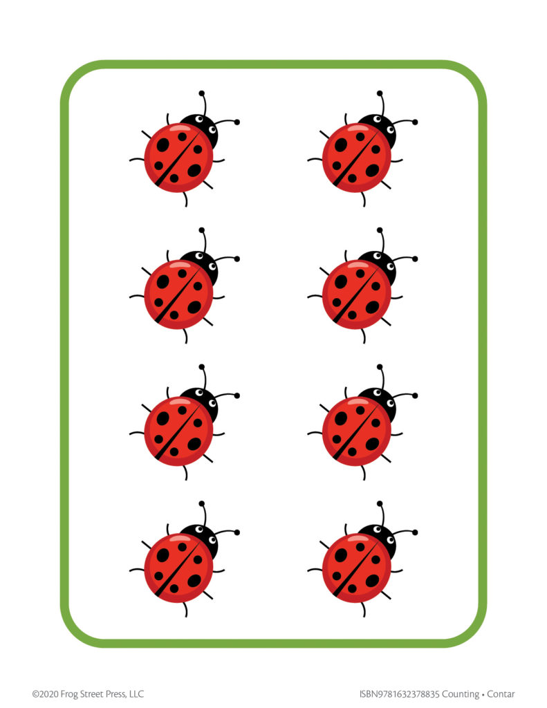 eight ladybugs