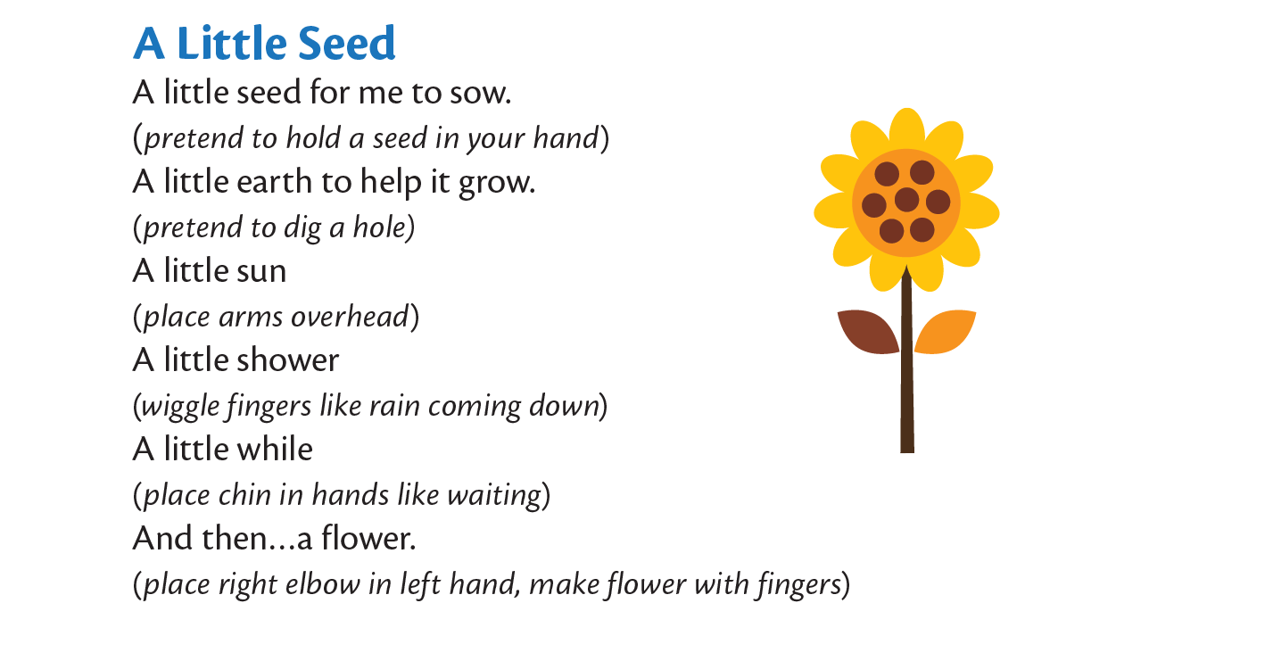 A Little Seed