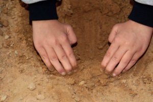 hands digging in dirt