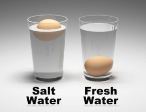 egg and water experiment