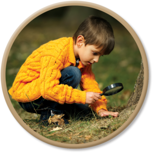 child looking for insects with a magnifying glass