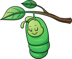 little caterpillar