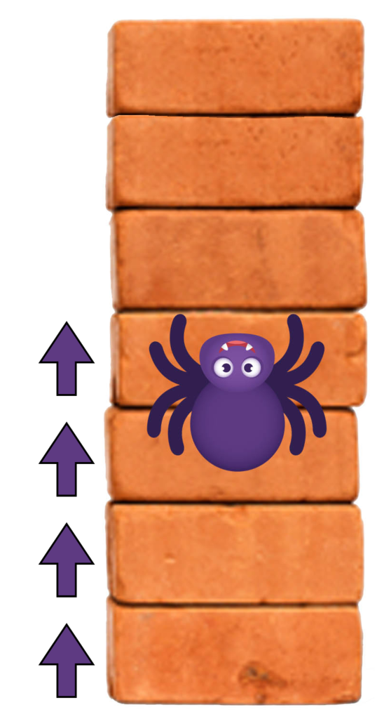 spider climbing 4 bricks