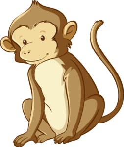 one monkey