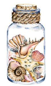 jar of sea shells