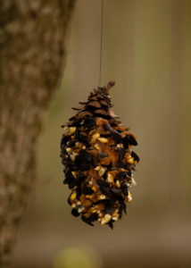 Peanut butter and birdseed pinecones