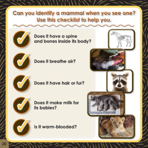 Mammal checklist