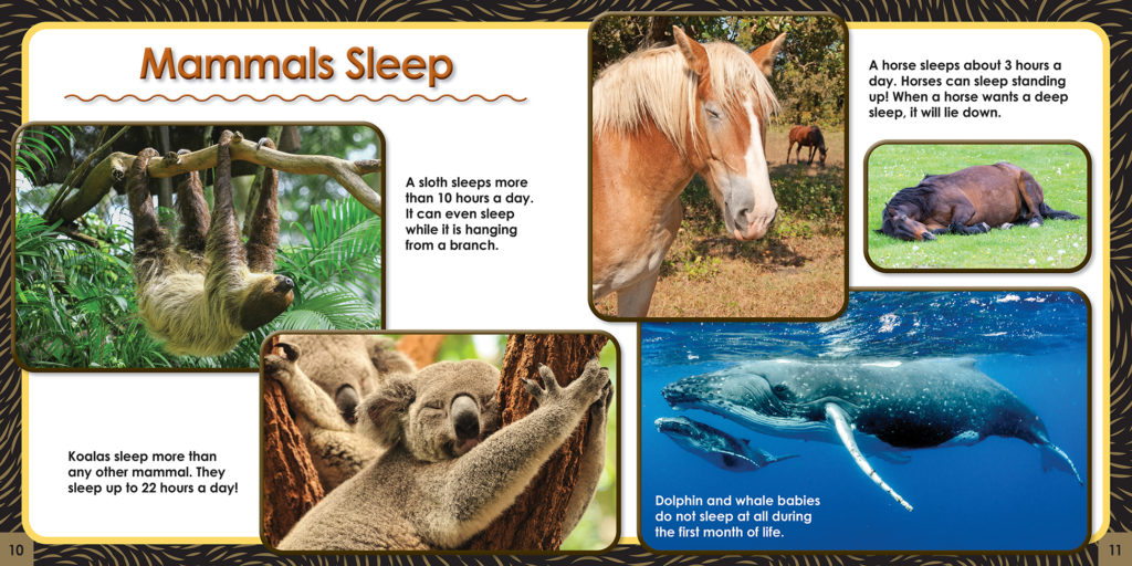 Fun Facts about Mammals p. 10-11