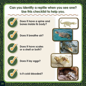 reptile checklist