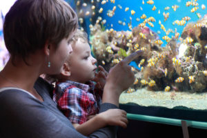 family looking at an aquarium