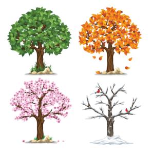four seasons trees