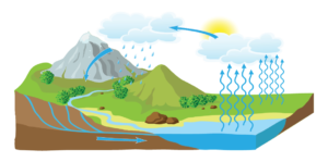 diagram of water cycle